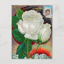 Search for seed postcards Vintage