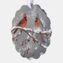 Search for male female cardinal ornaments Winter