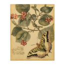 Search for dragonfly art Red