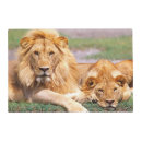 Search for african gifts Lion
