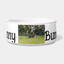 Search for rabbit pet bowls Bunny