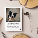 Search for pet loss invitations Dog