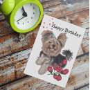 Search for yorkie puppies invitations Pet