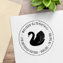 Search for black swan Simple
