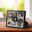 Search for remembrance pet memorials Dog memorial