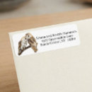 Search for owl return address labels Bird
