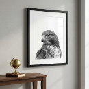 Search for black white red art Bird