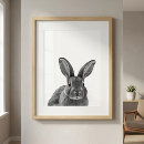 Search for bunny art Woodland