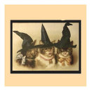 Search for halloween postcards Cat