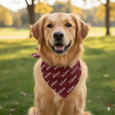 Search for name bandanas Elegant