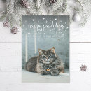 Search for cat holiday cards Pet