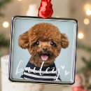 Search for family with dog ornaments Remembrance memento keepsake