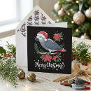 Search for african christmas cards African grey parrot