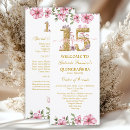 Search for quinceanera programs Mis quince anos