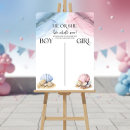 Search for gender reveal vote He or she