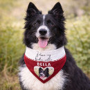 Search for photo dog collars Gift