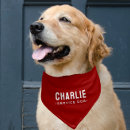 Search for dog collars Puppy