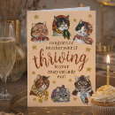 Search for crazy cat lady birthday cards Funny
