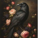 Search for raven tissue paper Crow
