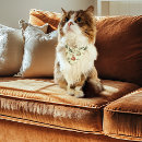 Search for cat collars Feline