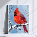 Search for cardinals in winter posters Bird