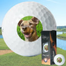 Search for dog golf balls Pet photo