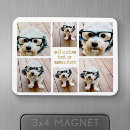 Search for funny animals magnets Modern