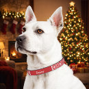 Search for dog collars Monogrammed