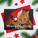 Search for cat photo christmas cards Script