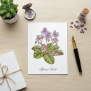 Search for african violet Saintpaulia