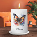 Search for butterfly candles Wildlife