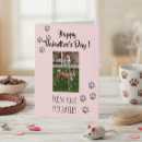 Search for dog valentines day cards Cat
