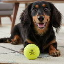 Search for dog tennis balls Cute