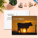 Search for funny cow puns postcards Farm