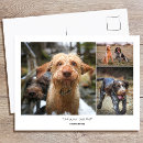 Search for blank postcards Create your own
