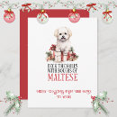 Search for maltese christmas cards Canine