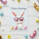Search for easter postcards Bunny