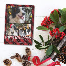 Search for dog photo cards Happy howlidays