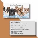 Search for pet grooming appointment cards Fun