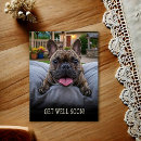 Search for bulldog get well cards French