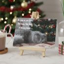 Search for cat christmas cards Humor