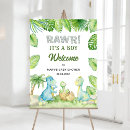 Search for baby boy shower dinosaur Gender neutral