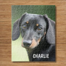 Search for pet puzzles Remembrance memento keepsake