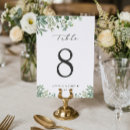 Search for eucalyptus table cards Minimalist
