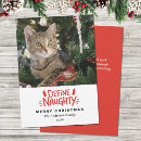 Search for define naughty cards Pet