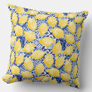 Search for mediterranean pillows Azulejo