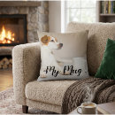 Search for pet pillows Under fifty dollars