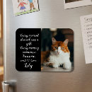 Search for cat memorial gifts Rainbow bridge