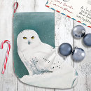 Search for owl christmas stockings White