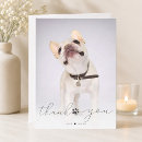 Search for horse memorial cards Unique